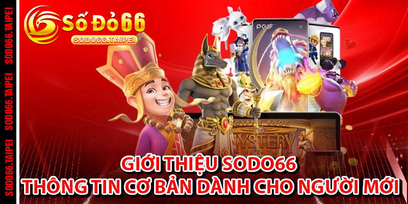 Giới Thiệu Sodo66 – Thông Tin Cơ Bản Dành Cho Người Mới