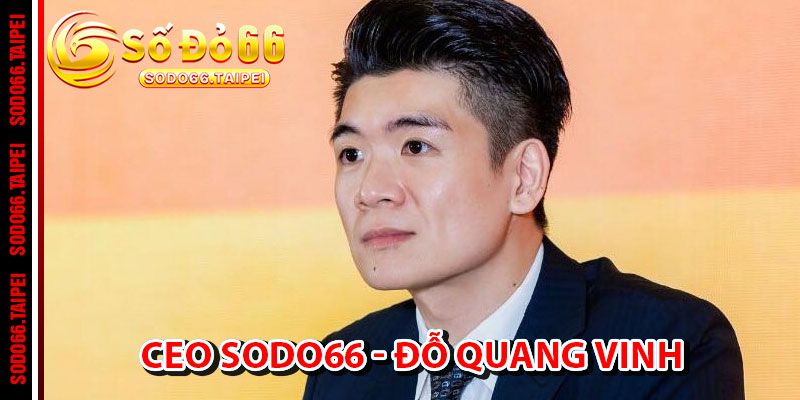 Hành Trình Tích Lũy Kinh Nghiệm Của CEO Đỗ Quang Vinh