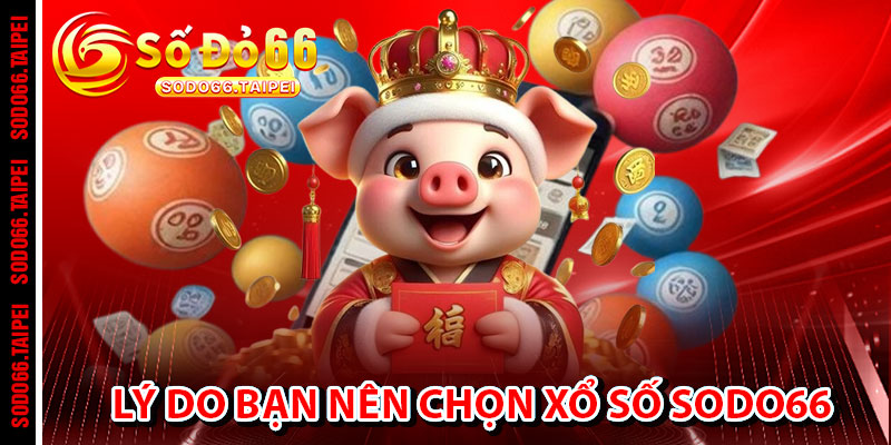 Lý Do Bạn Nên Chọn Xổ Số Sodo66