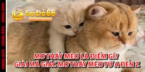 Mơ Thấy Mèo Là Điềm Gì? Giải Mã Giấc Mơ Thấy Mèo Từ A Đến Z